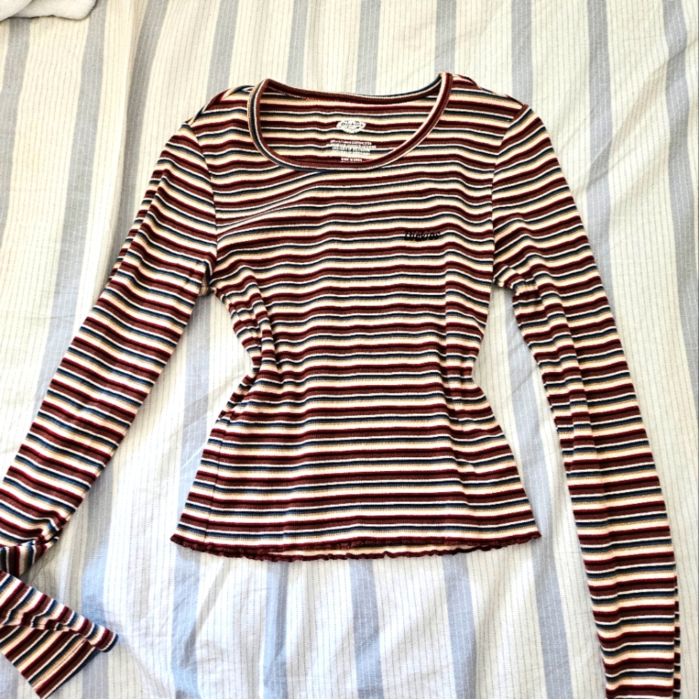 Dickies long sleeve crop top